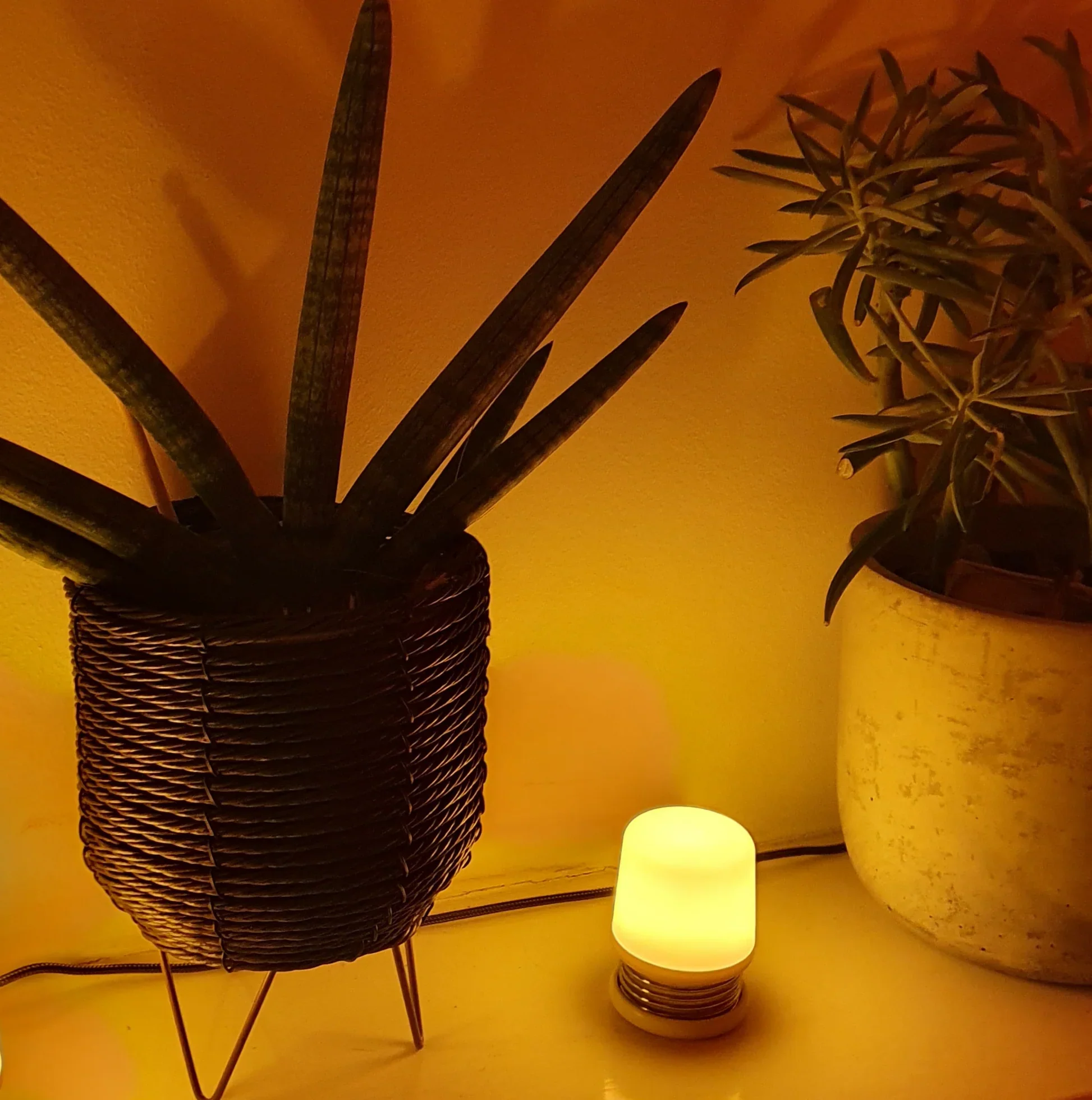 NoBlue Amber Beacon Light - Image 2