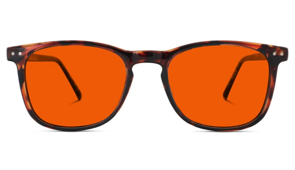 Nightfall Taylor Blue Blocking Glasses - Tortoise - Readers