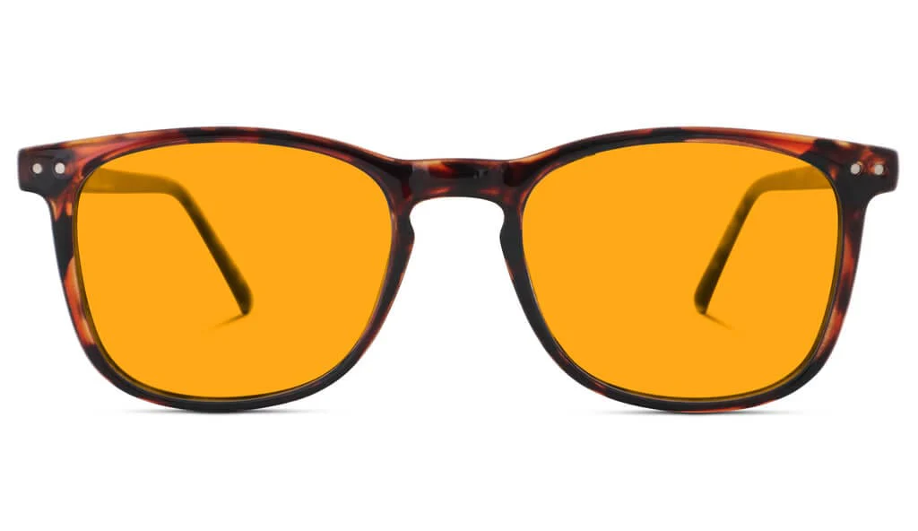 SunDown Taylor Blue Blocking Glasses - Tortoise - Readers