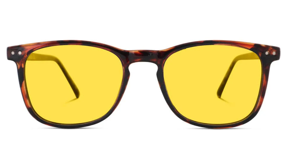 DayMax Taylor Glasses - Tortoise